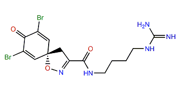 Clavatadine C